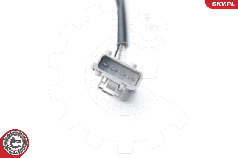 Oxygen Sensor